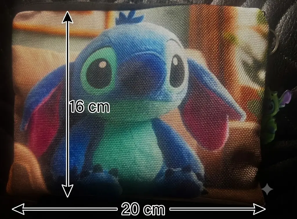 car stich medidas.webp
