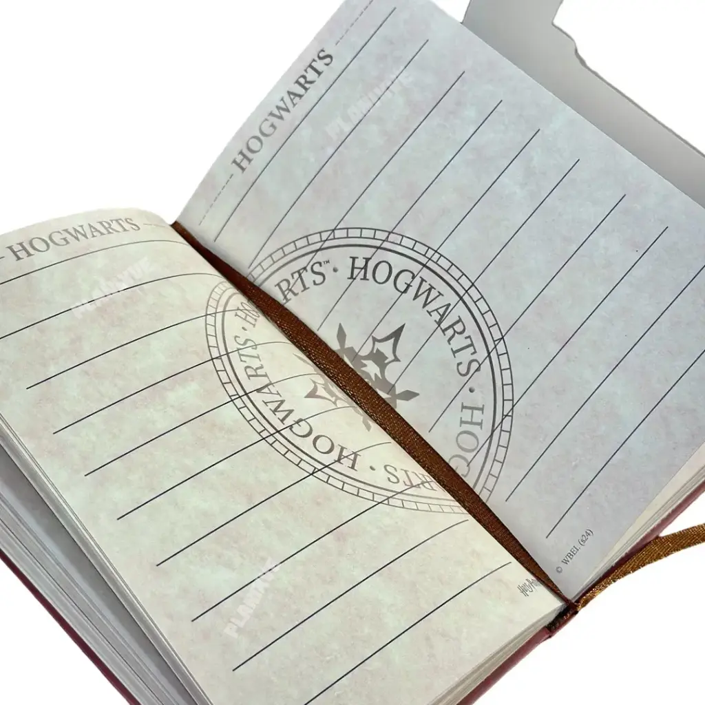 Diario potter adelante.webp