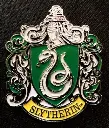 pin slytherin.webp