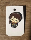 Pin Harry Potter